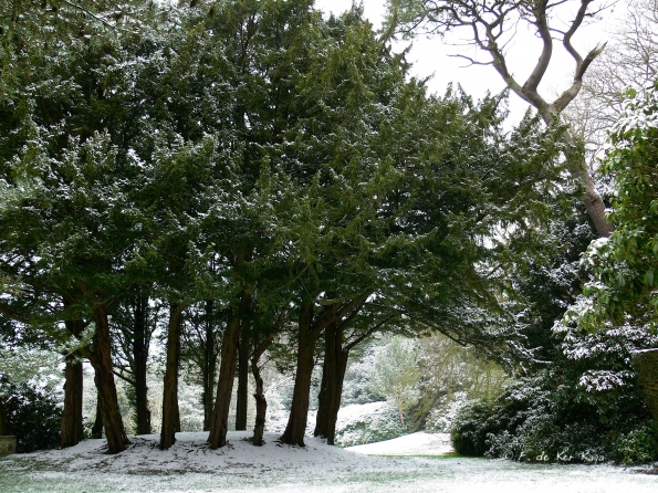 Bois des Moutiers Winterreise (3)